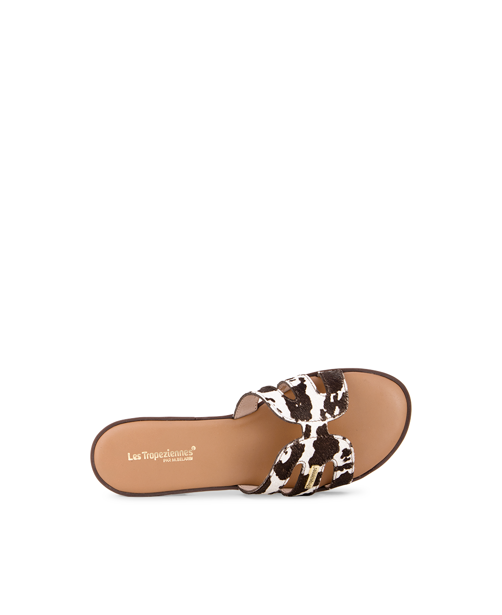 Hamigapo Mules - Cow