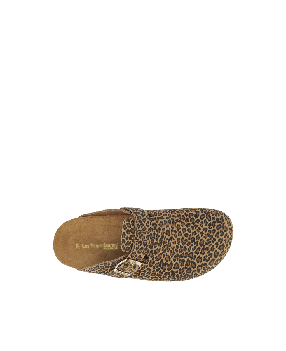 Zabot - Leopard