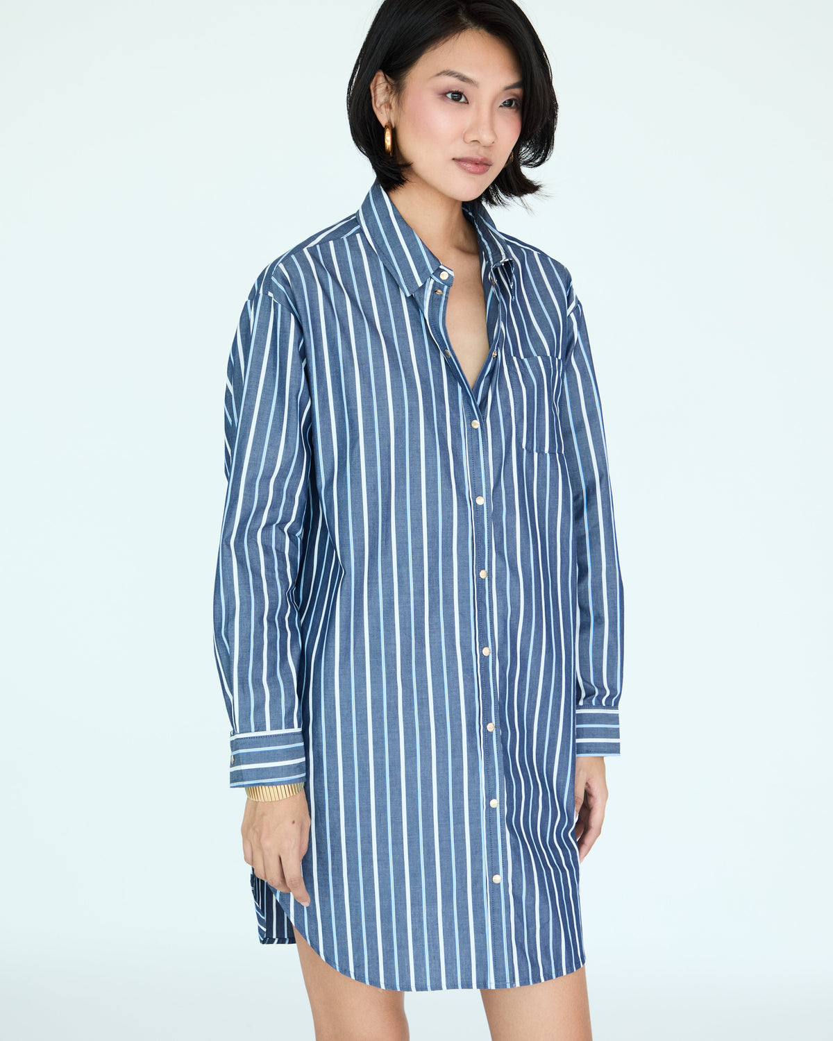Jules Dress Shirt - Brut Large Stripes