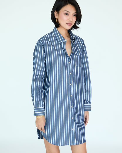 Jules Dress Shirt - Brut Large Stripes