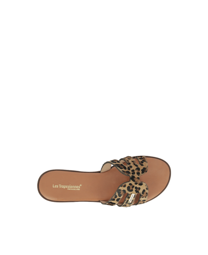 Hamigapo Mules - Leopard