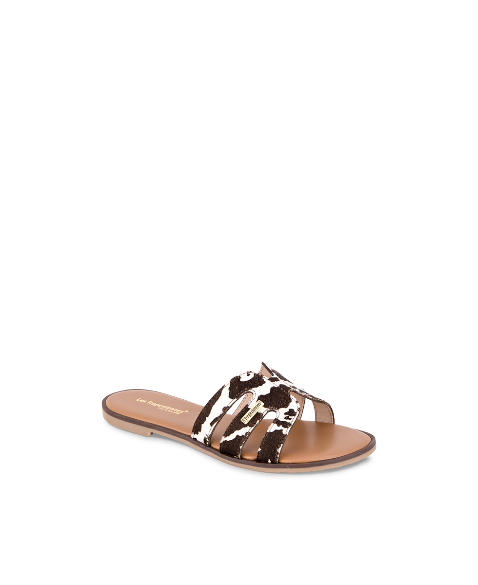 Hamigapo Mules - Cow