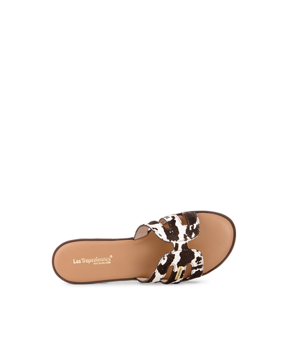 Hamigapo Mules - Cow