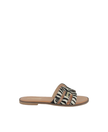 Hamigapo Mules - Zebra
