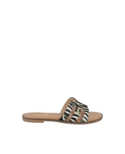Hamigapo Mules - Zebra