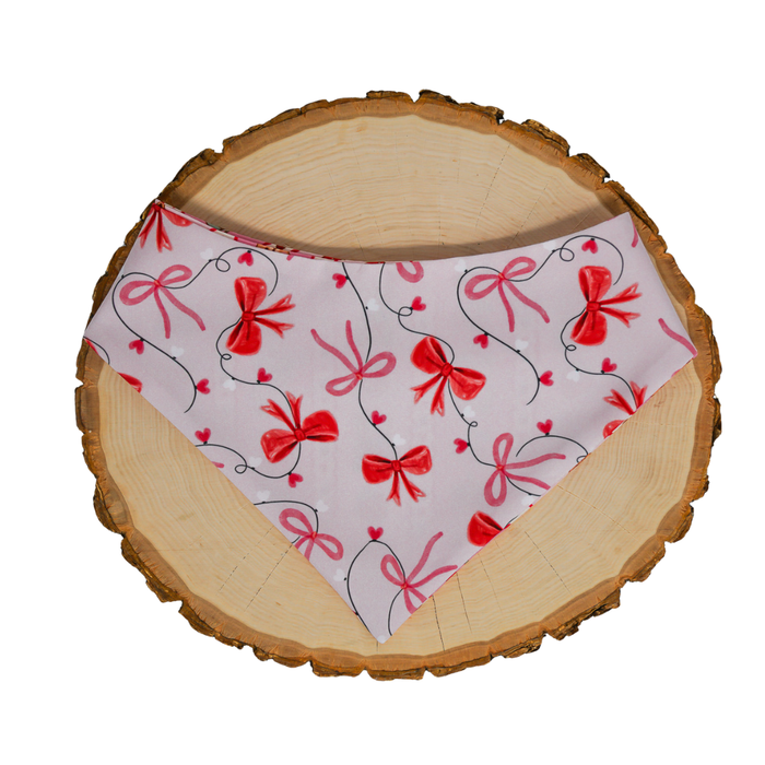 Beary Coquette - Bandana (Reversible)