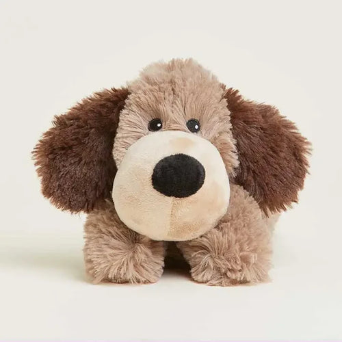 Brown Dog Warmies Junior