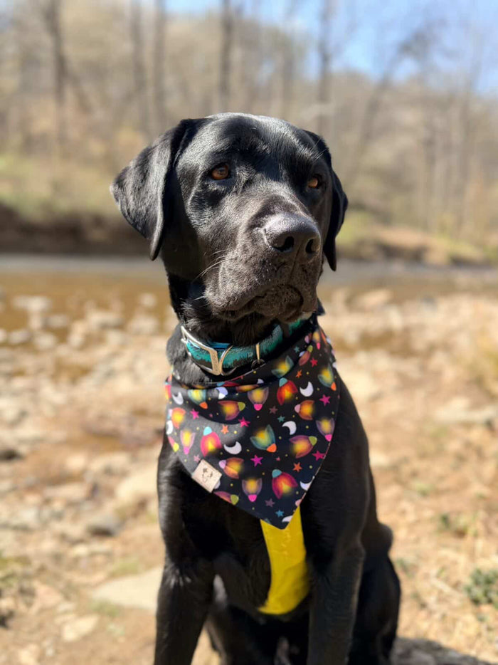 Camp Sweetheart - Active Snap On Bandana (Reversible)