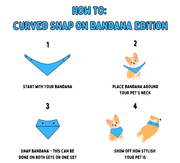 Champagne Pups - Bandana