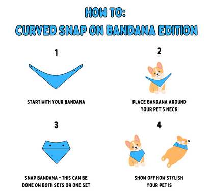 Champagne Pups - Bandana
