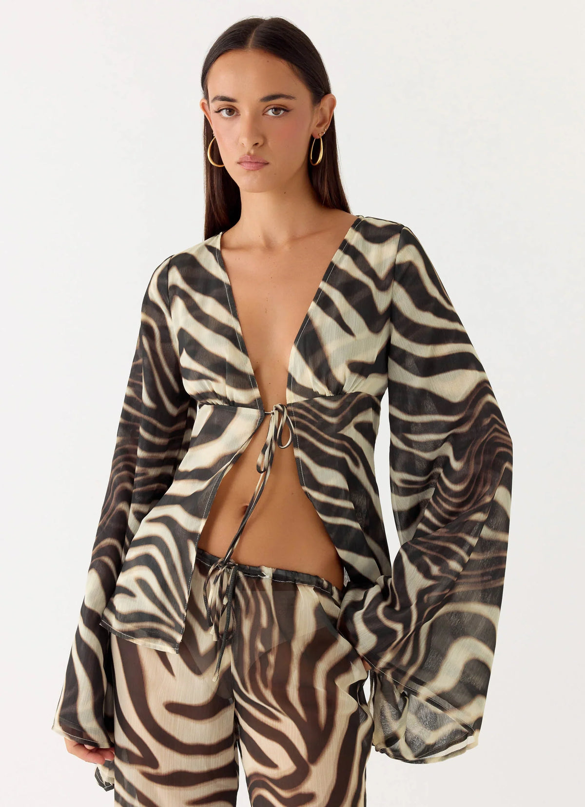 Chaty Top Zebra