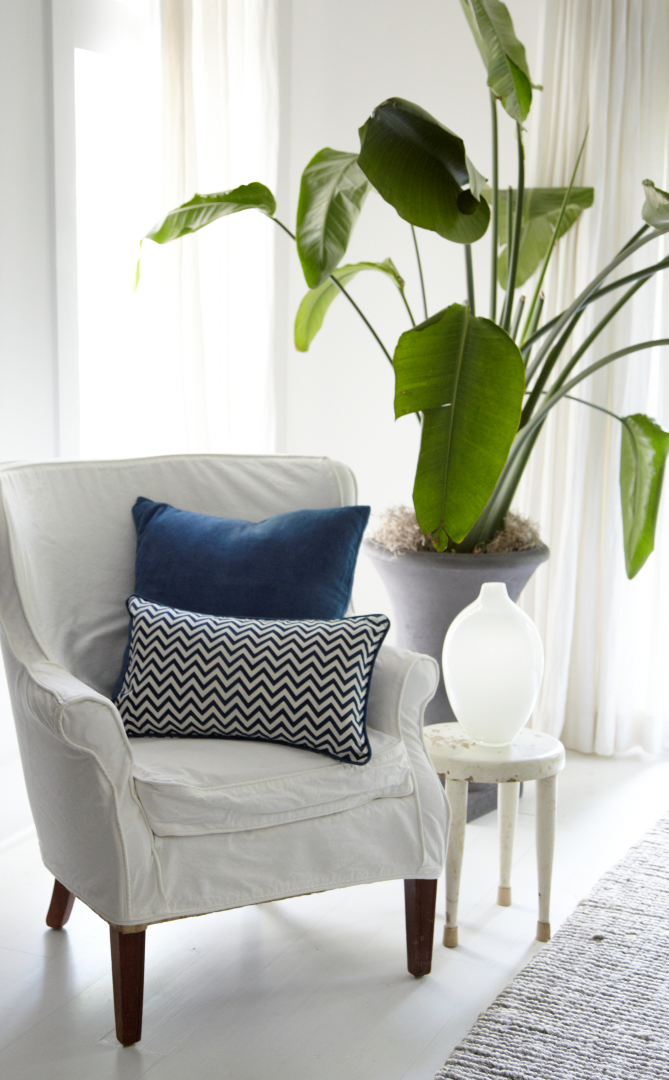 Indigo Chevron Decorative Pillow With Cording