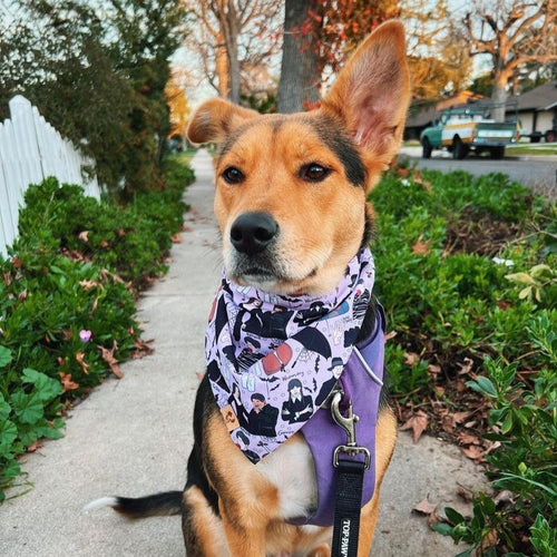 Wednesday -  Bandana (Reversible)