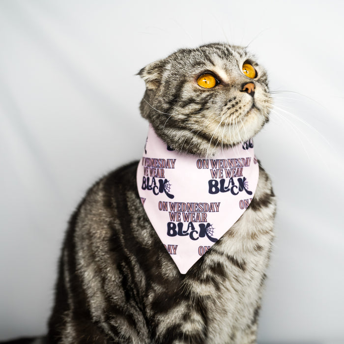 Wednesday -  Bandana (Reversible)